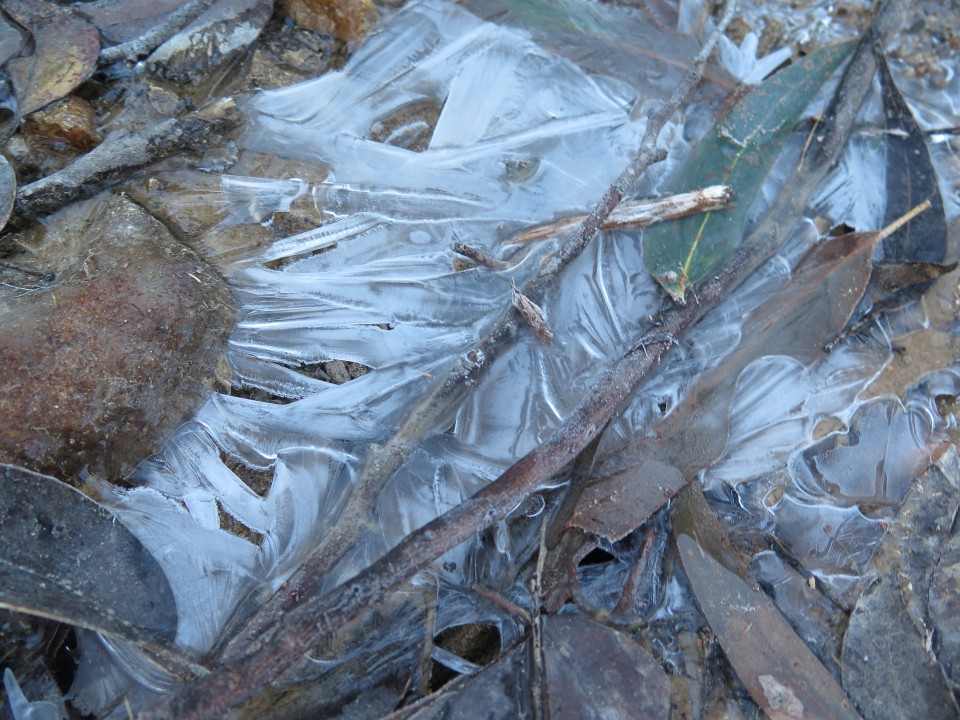 frozen puddle